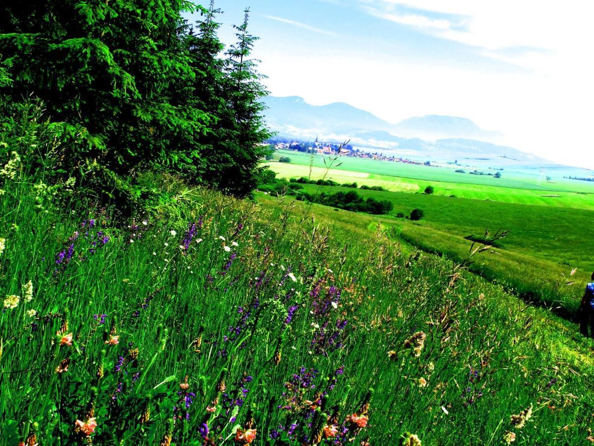 Villa Lypche Bešeňová Rum bild